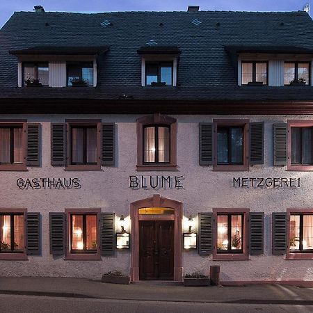 Das Bluemchen Freiburg im Breisgau Exterior photo
