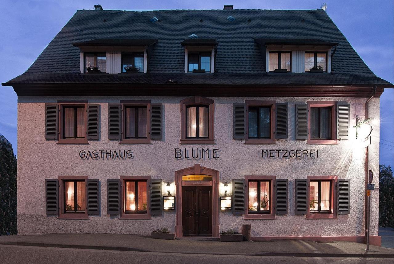 Das Bluemchen Freiburg im Breisgau Exterior photo